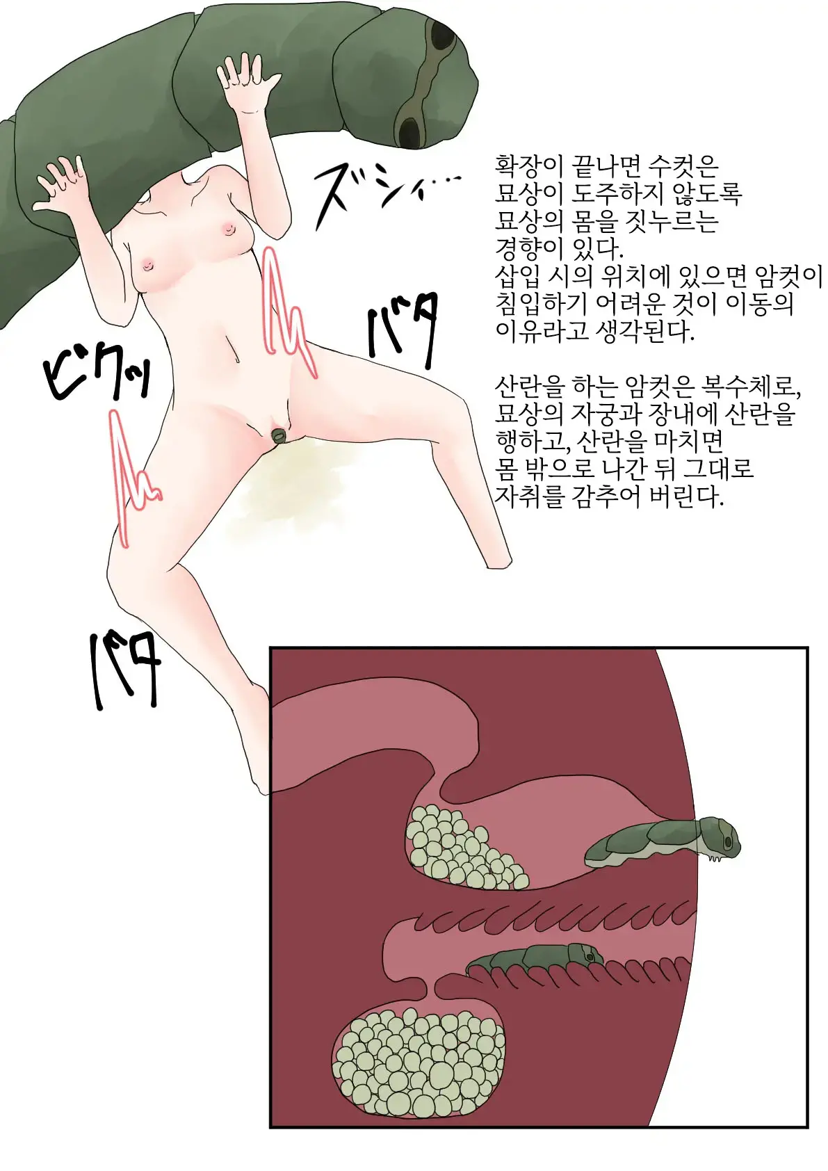 Oomushikaisetuzukan